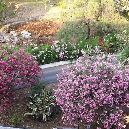 100 M To The Sea, Private Beach, Terrasse 60m2, Gorgeous View